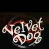 The Velvet Dog 