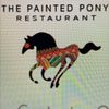 Painted Pony 